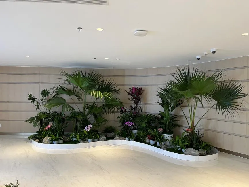 找奉化花木租赁好去处？这里有你要的优质推荐